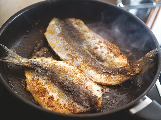 don t fear feeding on fats don t fear feeding on fats