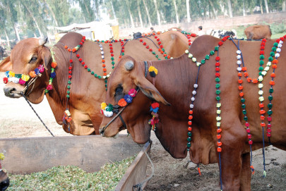 buying the best buyers waiting for bargains two days ahead of eid buying the best buyers waiting for bargains two days ahead of eid