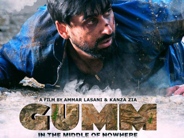 for a film which poses as a thriller its direction and editing needed to be stronger photo imdb for a film which poses as a thriller its direction and editing needed to be stronger photo imdb