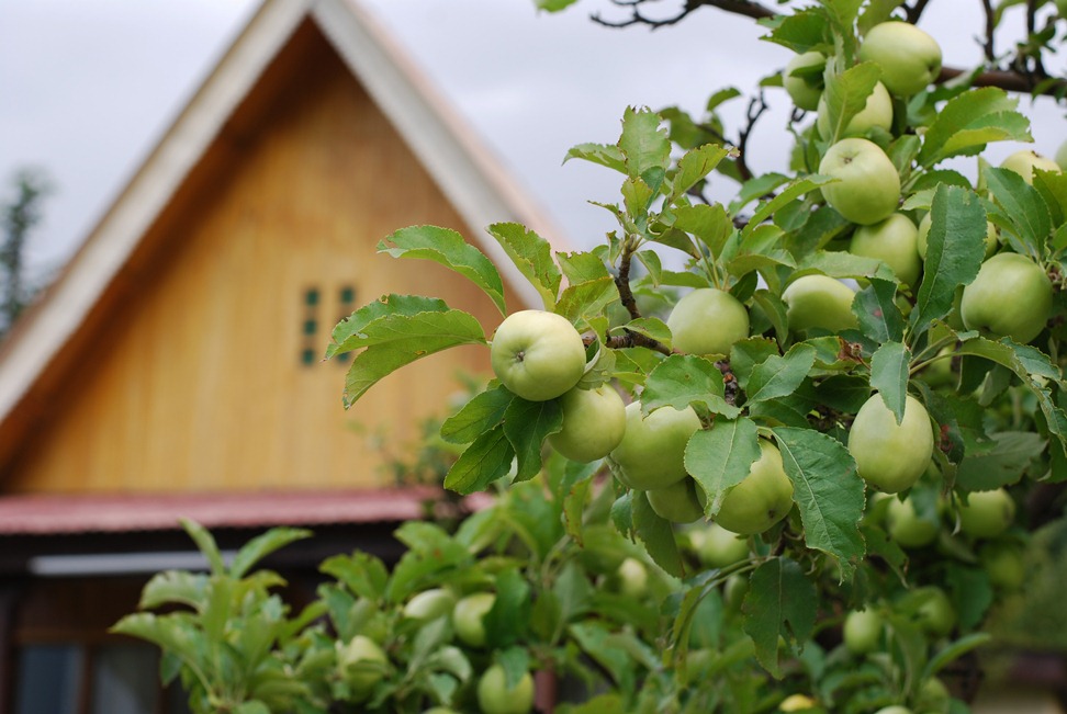 Updated Oct 28, 2014