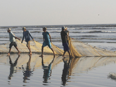 going extinct illegal fishing practices ruining livelihood of sindh s fishermen