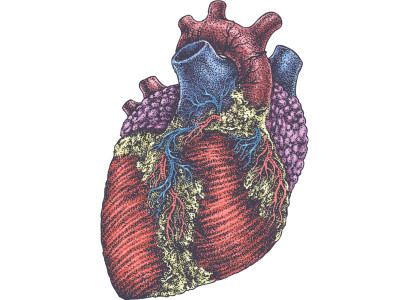health matters of the heart health matters of the heart