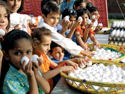 reflecting on nutrition poultry   an affordable source of protein reflecting on nutrition poultry   an affordable source of protein