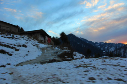 the last wali swat s great ruler celebrated