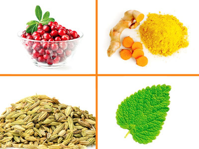 6 herbal remedies for a healthier you 6 herbal remedies for a healthier you