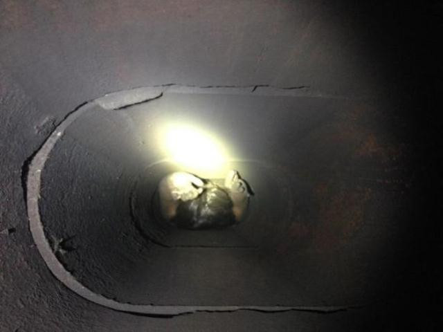 california woman gets stuck in chimney trying to sneak into home california woman gets stuck in chimney trying to sneak into home