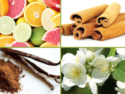 six stress buster scents six stress buster scents