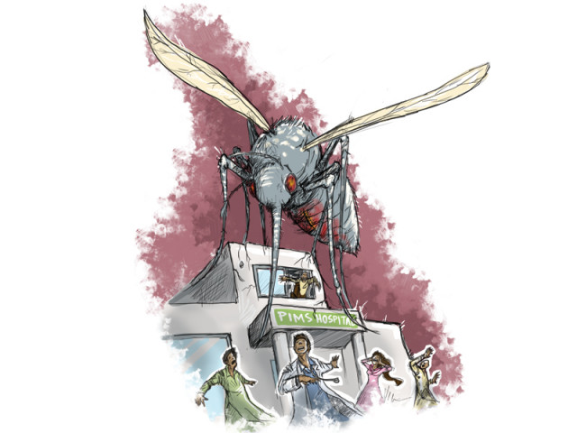 dengue in rawalpindi dengue in rawalpindi