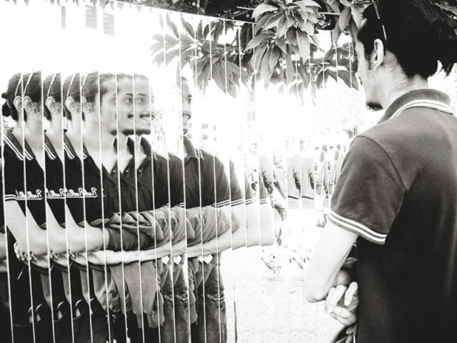 tribune tribune
