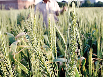 enough excuses civil activists urge govt to formulate food security plan