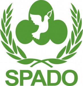 capacity building youth participate in training workshop