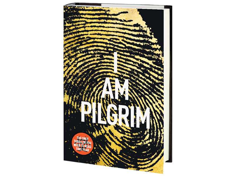 book review i am pilgrim   a bumpy ride
