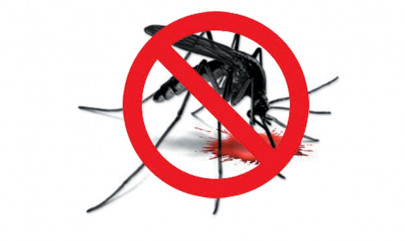 anti dengue drive epa seals six premises in pindi