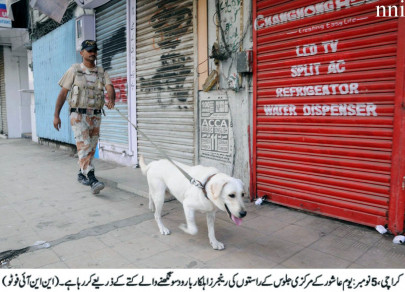 another sindh police sniffer dog dies