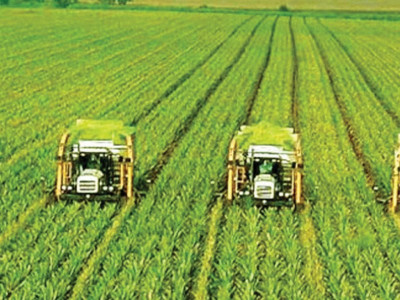 bridging the gap saarc countries to adopt uniform agricultural standards bridging the gap saarc countries to adopt uniform agricultural standards