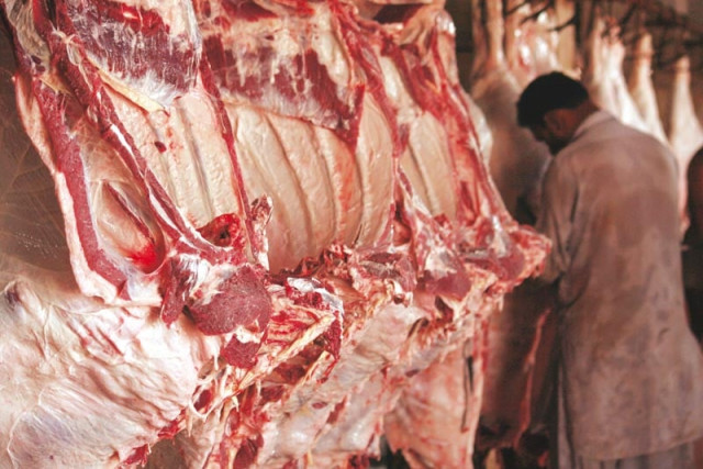 karachi slaughterhouses under the knife karachi slaughterhouses under the knife