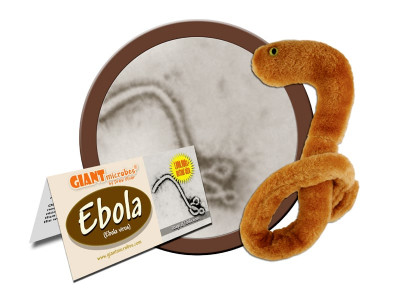 ill equipped bkia screens travellers for ebola virus using a thermometer