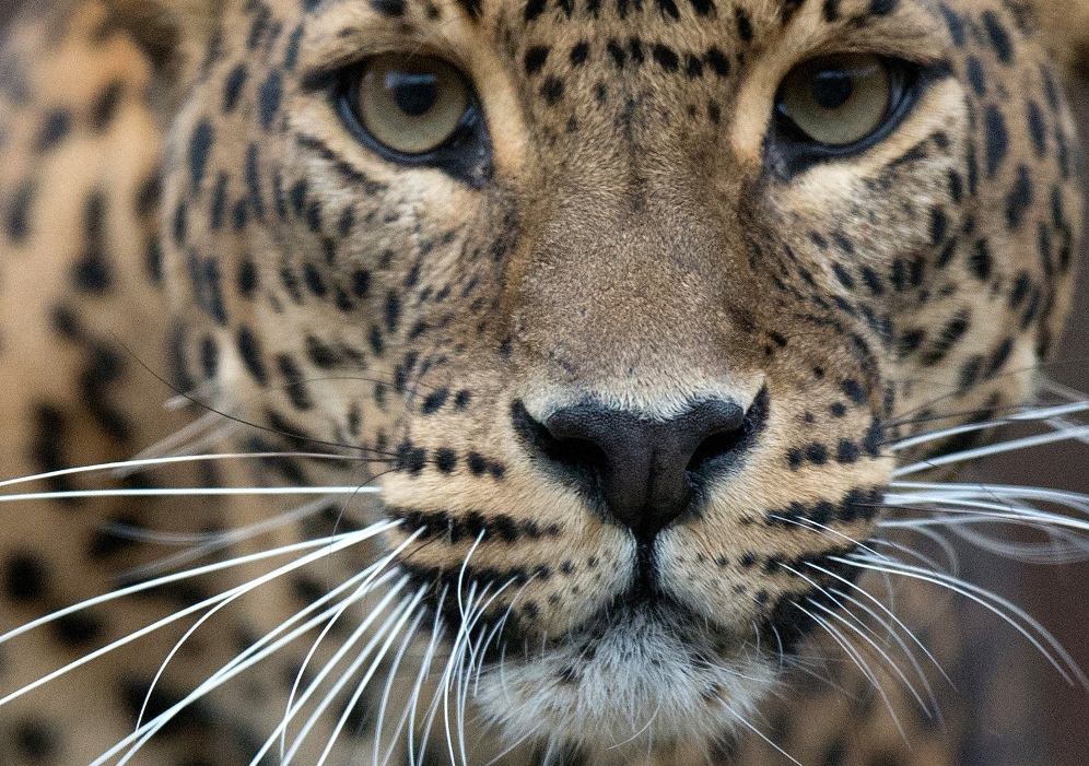 Updated Nov 14, 2014