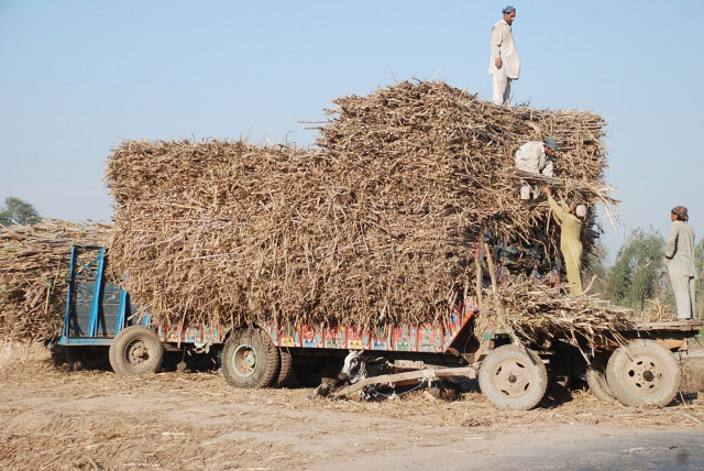 price fixing shc stops authorities from taking action against sugar mill owners price fixing shc stops authorities from taking action against sugar mill owners