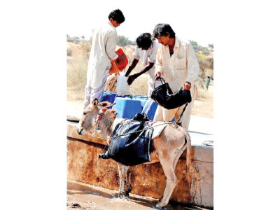 in denial 11 more children die in tharparkar as govt argues over numbers