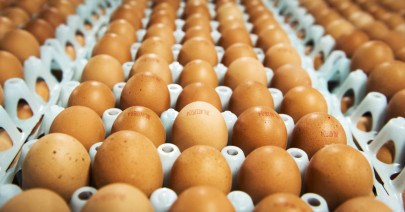 who braces for bird flu spread in european poultry urges vigilance