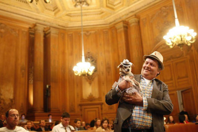dog has its day as mayor of san francisco dog has its day as mayor of san francisco