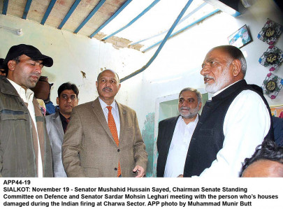 senate panel calls on nawaz to protest against indian aggression at saarc summit