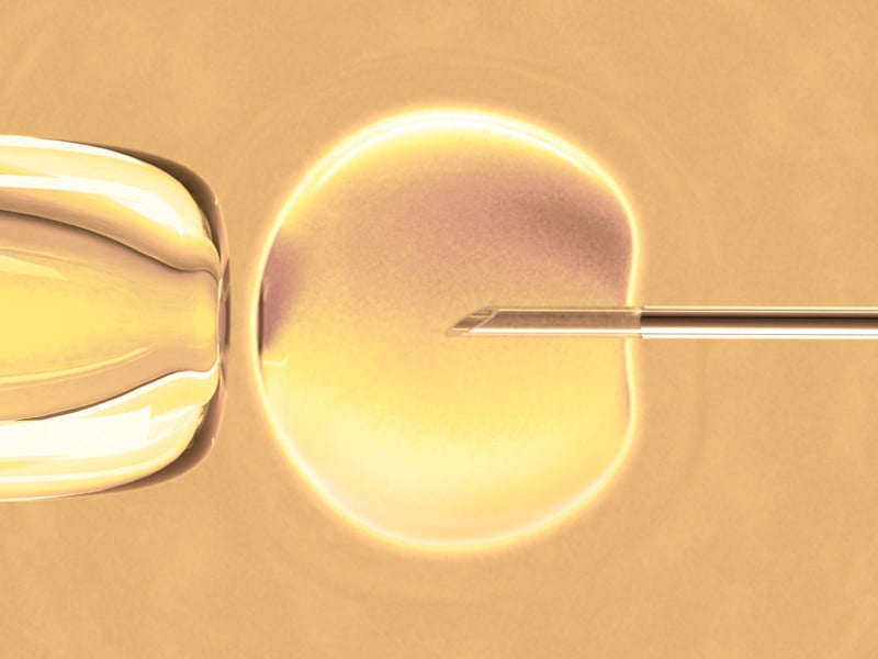 in vitro fertilisation facts figures and fertility rates