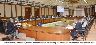 ecc approves rs10 billion subsidy for small rice farmers ecc approves rs10 billion subsidy for small rice farmers
