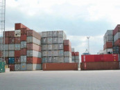 coal soybean seeds drive import surge