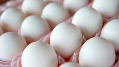 egging plot foiled before hatching egging plot foiled before hatching