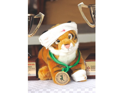 pakistan s cricketing glory leading the pack pakistan s cricketing glory leading the pack