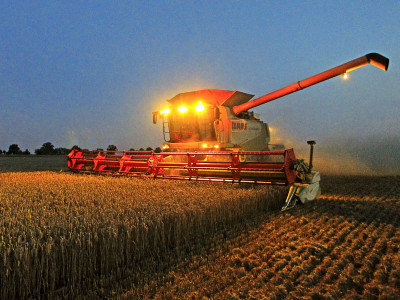 10mcy14 urea sales drop 14