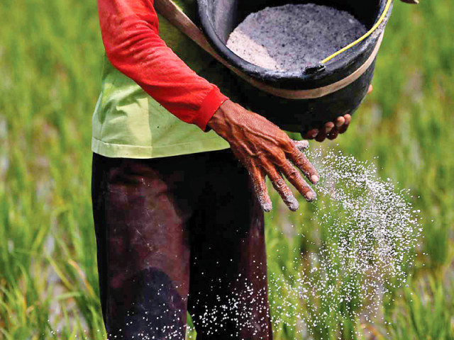 agriculture dilemma helped by weather hurt by middlemen