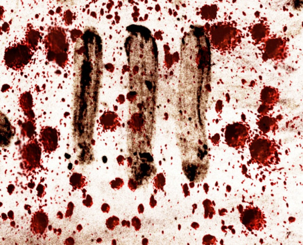 chilling crime remains of murdered man woman recovered from freezer in karachi chilling crime remains of murdered man woman recovered from freezer in karachi