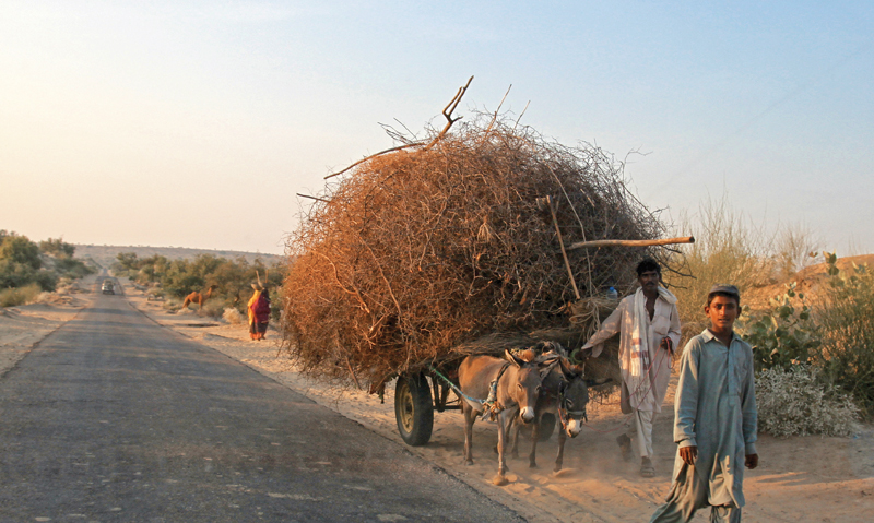 karachi provides therapy for those suffering from drought