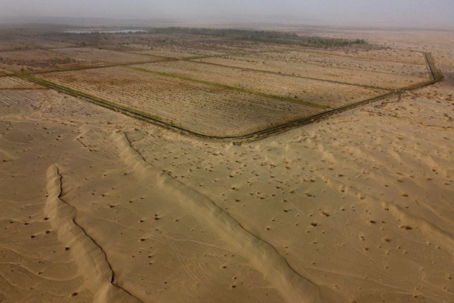 lines of trees next to a road mark the border between the desert and one of the sections of the yangguan state backed forest farm on the edge of the gobi desert on the outskirts of dunhuang gansu province china april 13 2021 photo reuters lines of trees next to a road mark the border between the desert and one of the sections of the yangguan state backed forest farm on the edge of the gobi desert on the outskirts of dunhuang gansu province china april 13 2021 photo reuters