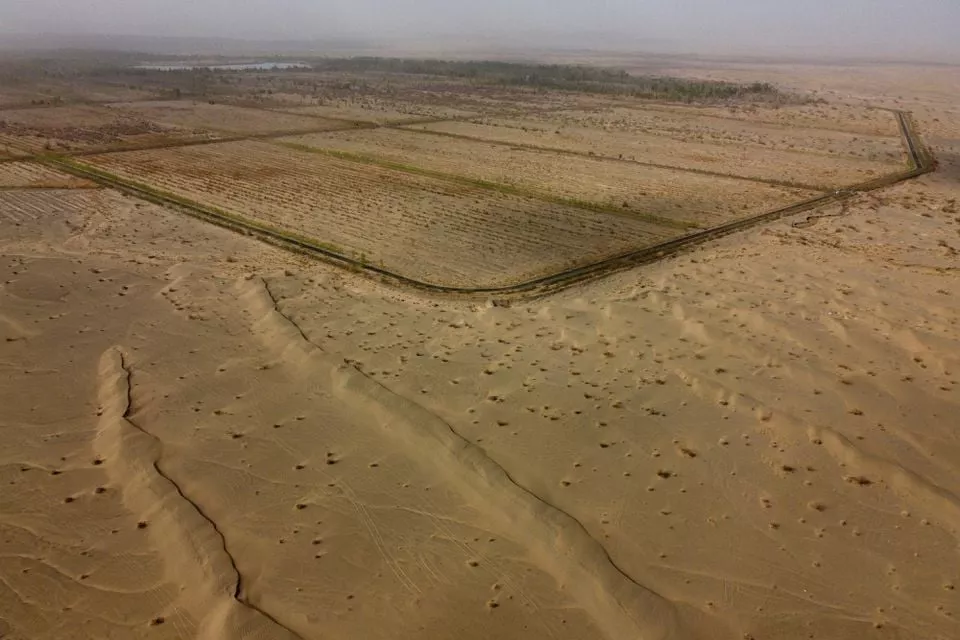 lines of trees next to a road mark the border between the desert and one of the sections of the yangguan state backed forest farm on the edge of the gobi desert on the outskirts of dunhuang gansu province china april 13 2021 photo reuters lines of trees next to a road mark the border between the desert and one of the sections of the yangguan state backed forest farm on the edge of the gobi desert on the outskirts of dunhuang gansu province china april 13 2021 photo reuters