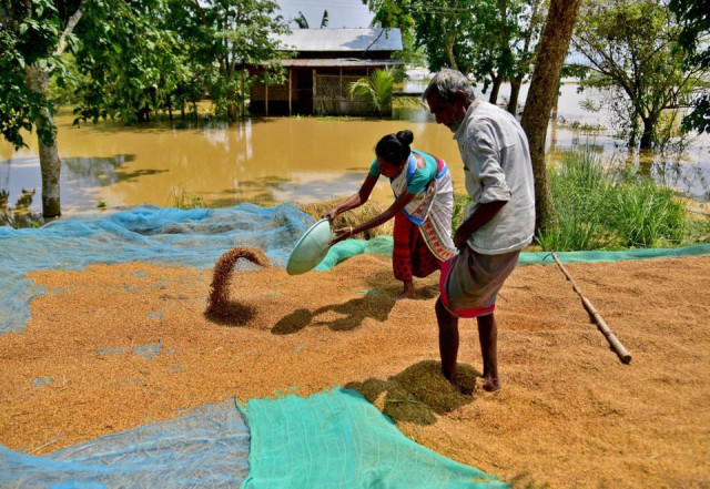 villagers affected by flood dry their paddy crop on a road in morigaon district in the northeastern state of assam india may 24 2022 reuters villagers affected by flood dry their paddy crop on a road in morigaon district in the northeastern state of assam india may 24 2022 reuters