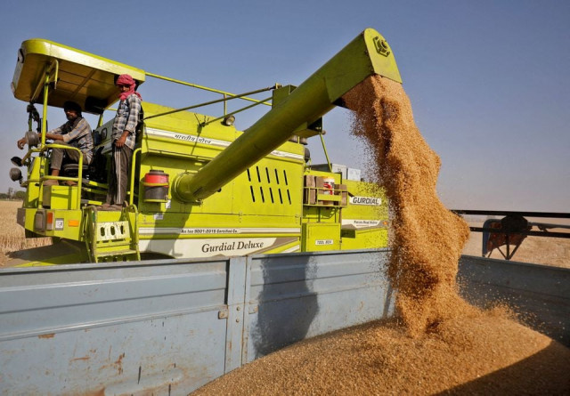 india bans wheat exports as heatwave hurts crop domestic prices soar india bans wheat exports as heatwave hurts crop domestic prices soar