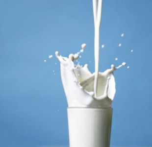 the untold story of the milk that we drink