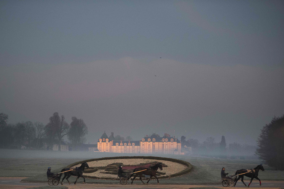 Horses attend a training session at the equestrian training centre of Grosbois in Marolles-en-Brie. PHOTO: AFP
