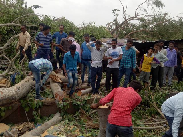 People remove the logs of uprooted trees from a road after strong winds and dust storm in Alwar, in the western state of Rajasthan, India. Photo: Reuters 