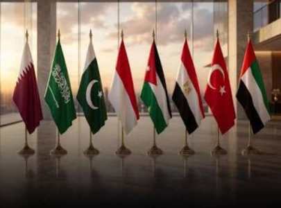 8 muslim states slam israel s gaza actions
