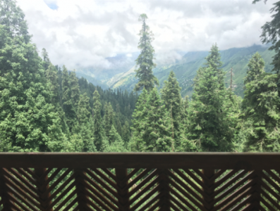 eight target killers arrested