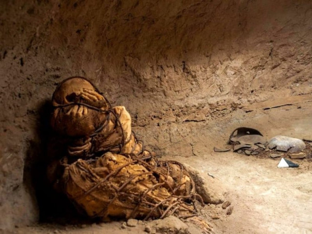 the mummy was found inside an underground structure found on the outskirts of the city of lima photo universidad nacional mayor de san marcos facebook