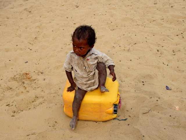 year s death toll climbs to 511 as 2 more die in tharparkar year s death toll climbs to 511 as 2 more die in tharparkar