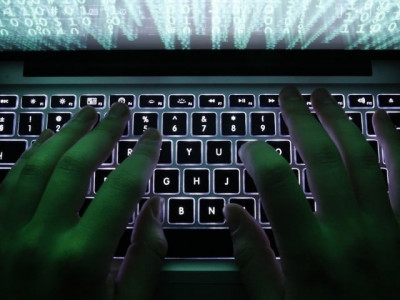 birds without wings cgpa demands rules of business for k p rti legislation birds without wings cgpa demands rules of business for k p rti legislation