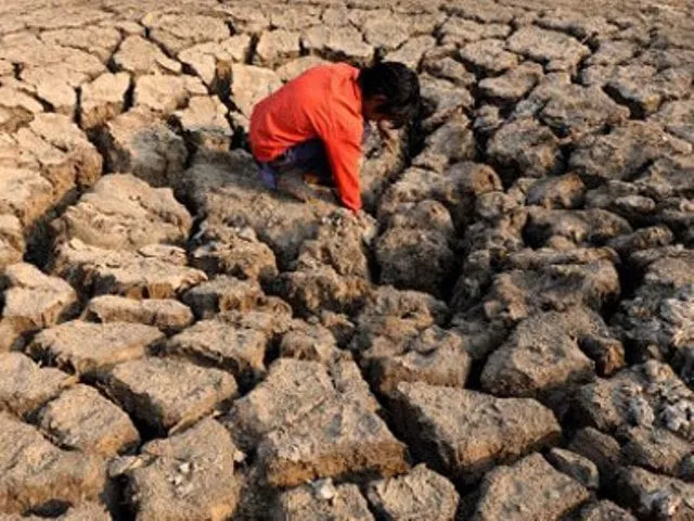 sindh cm constitutes commission to probe drought related deaths in tharparkar sindh cm constitutes commission to probe drought related deaths in tharparkar
