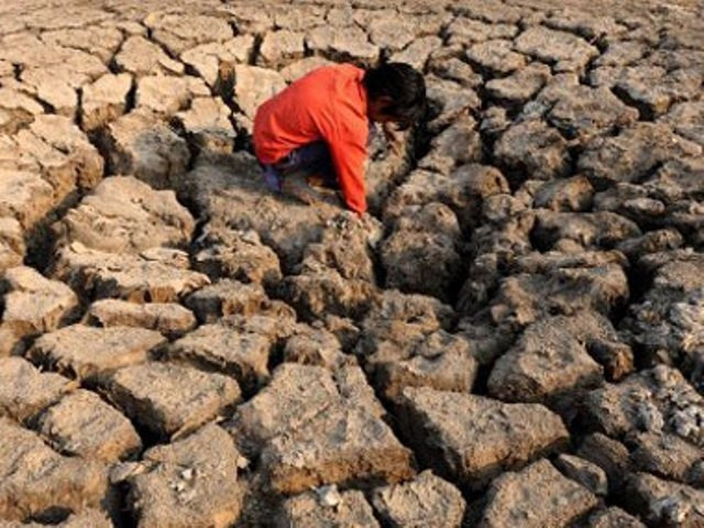 tharparkar drought claims 7 more lives year s death toll surpasses 500 tharparkar drought claims 7 more lives year s death toll surpasses 500